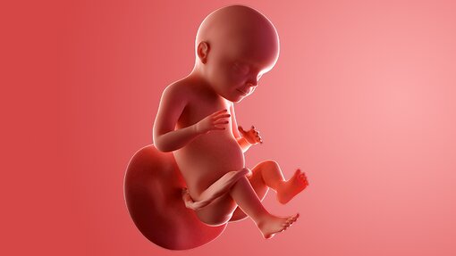 Momen Emas Pertumbuhan Buah Hati di Minggu ke-28 Momen Emas Pertumbuhan Buah Hati di Minggu ke-28