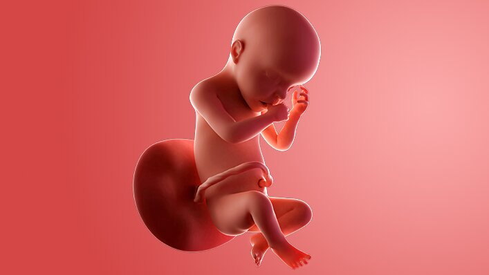 Kondisi Fisik Bumil dan Janin Saat Hamil 30 Minggu Kondisi Fisik Bumil dan Janin Saat Hamil 30 Minggu