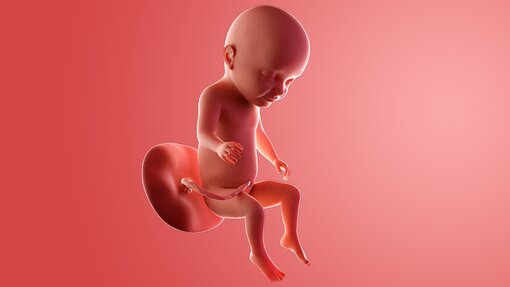 Kondisi Fisik Bumil dan Janin Saat Hamil 31 Minggu