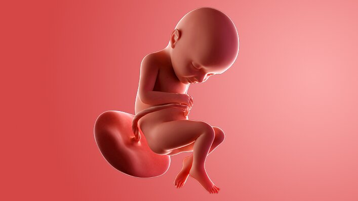 Catatan Medis & Visual Janin Usia 32 Minggu