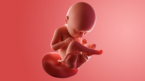 Evaluasi Kesehatan Ibu & Janin 35 Minggu Lengkap Evaluasi Kesehatan Ibu & Janin 35 Minggu Lengkap