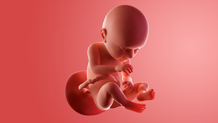 Potret Keajaiban Perkembangan Bayi Minggu ke-38