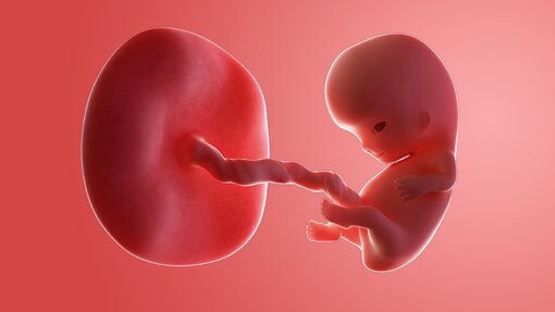 Evaluasi Kesehatan Ibu & Janin 9 Minggu Lengkap Evaluasi Kesehatan Ibu & Janin 9 Minggu Lengkap