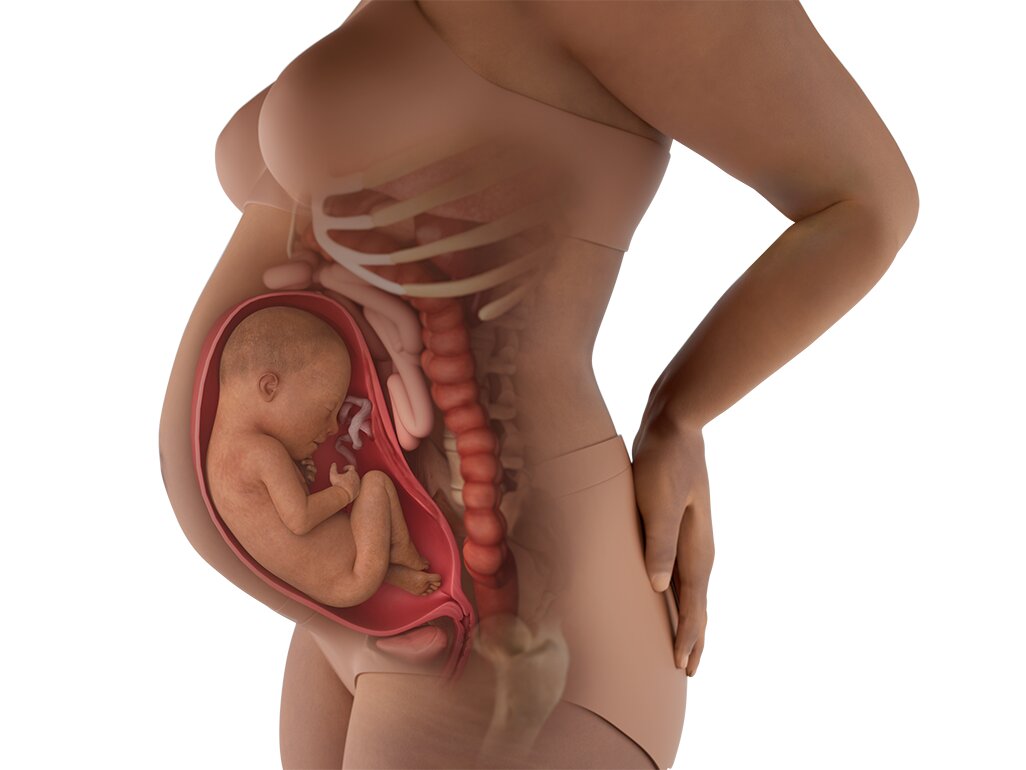 Kondisi Perut Hamil 31 Minggu