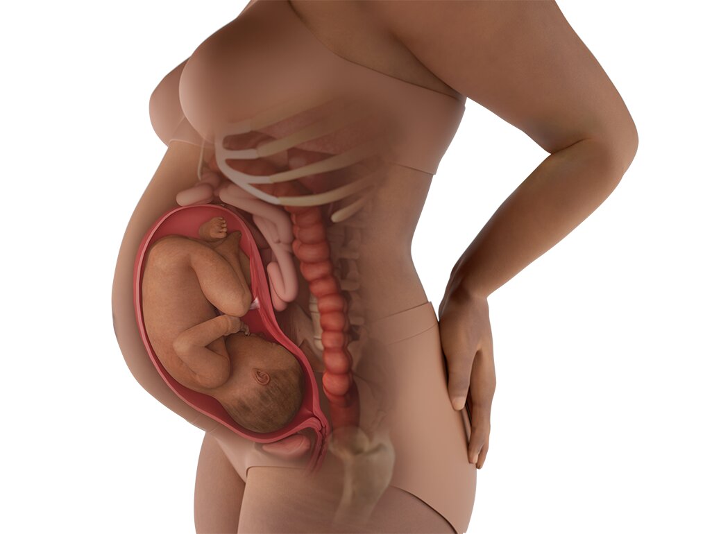 Perubahan Fisik Perut Bumil 32 Minggu: Tips Menjaga Kesehatan