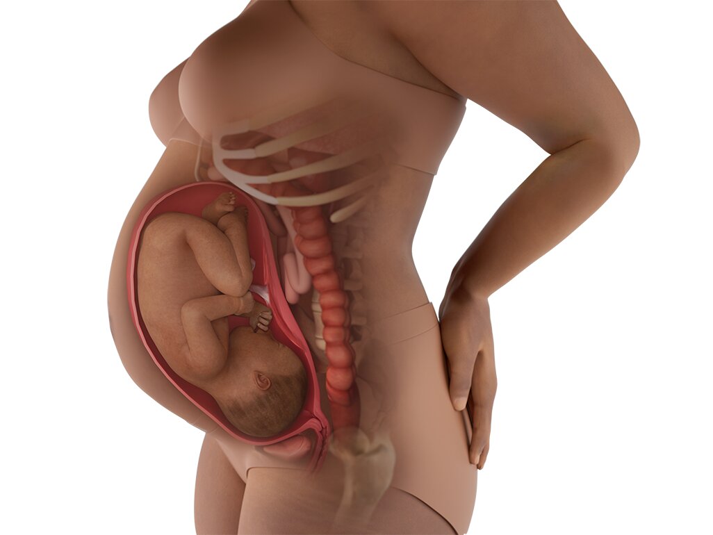 Kondisi Perut Hamil 34 Minggu Kondisi Perut Hamil 34 Minggu