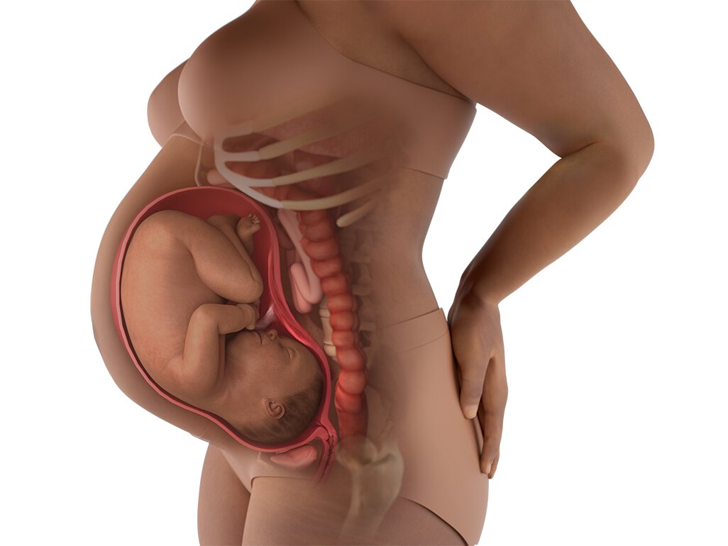 Kondisi Perut Hamil 37 Minggu