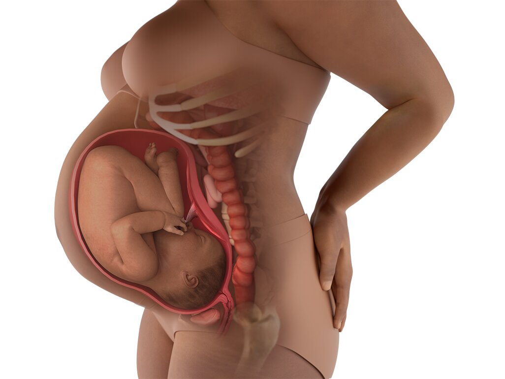 Progres Perut Ibu Hamil 39 Minggu: Perubahan Ukuran & Bentuk