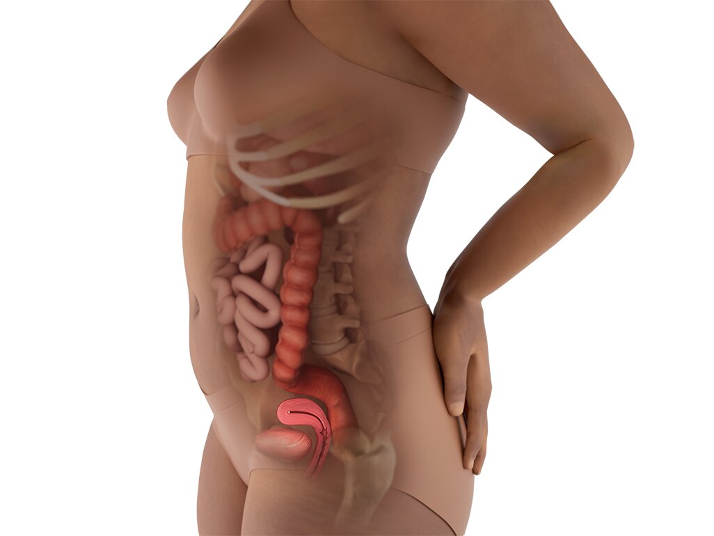 Bentuk Perut Ibu Hamil 5 Minggu: Panduan Visual Lengkap