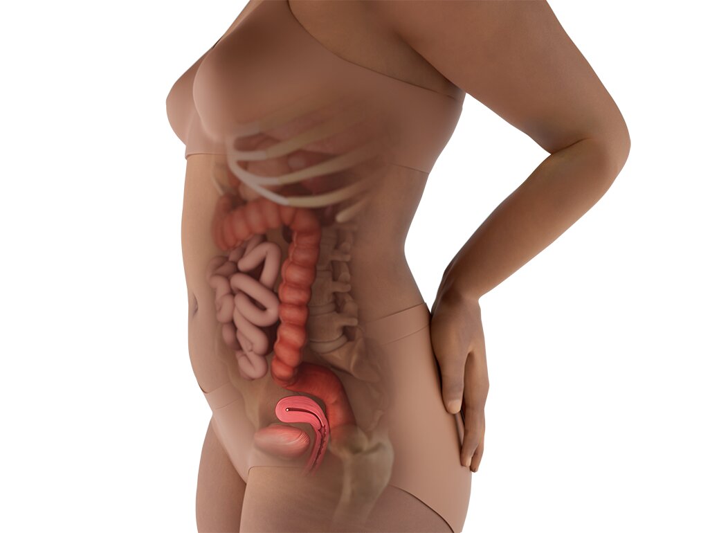 Kondisi Rahim dan Perut Saat 6 Minggu: Panduan Bumil Lengkap Kondisi Rahim dan Perut Saat 6 Minggu: Panduan Bumil Lengkap